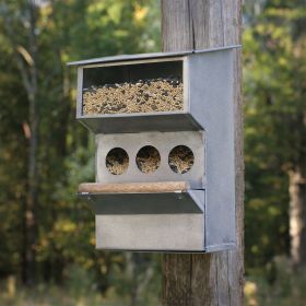 Premium Backyard Bird Feeder for Feathered Friends